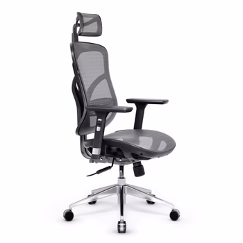 Kancelárska ergonomická stolička Diablo V-Basic, čierno-šedá