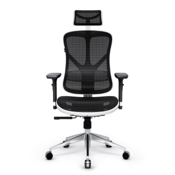Ergonomic Chair Diablo V-Basic: white-black