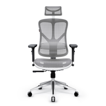 Ergonomic Chair Diablo V-Basic: white-grey