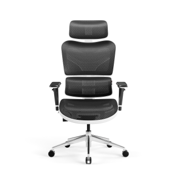 Ergonomic Chair Diablo V-Commander: White-Black