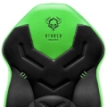 Herné kreslo Diablo X-Gamer 2.0 Normal Size čierno-zelené