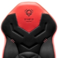 Herné kreslo Diablo X-Gamer 2.0 Normal Size čierno-zelené