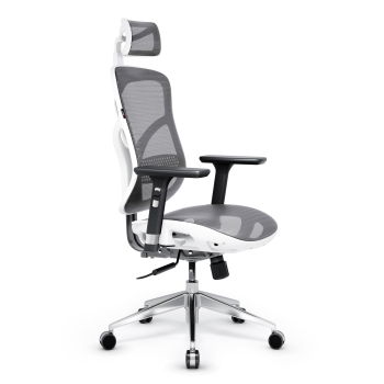 Ergonomic Chair Diablo V-Basic: white-grey
