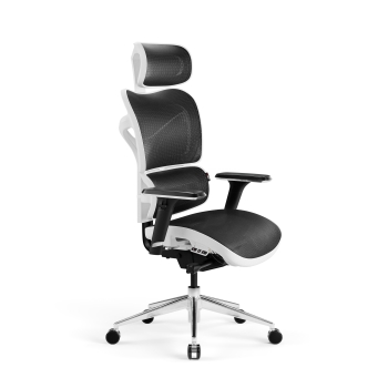 Ergonomic Chair Diablo V-Commander: White-Black