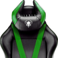 Diablo X-Horn 2.0 Gamestoel, Normal Size, zwart-groen