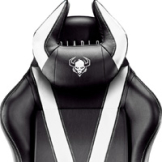 Herné kreslo Diablo X-Horn 2.0 Normal Size: Čierno-biele Diablochairs